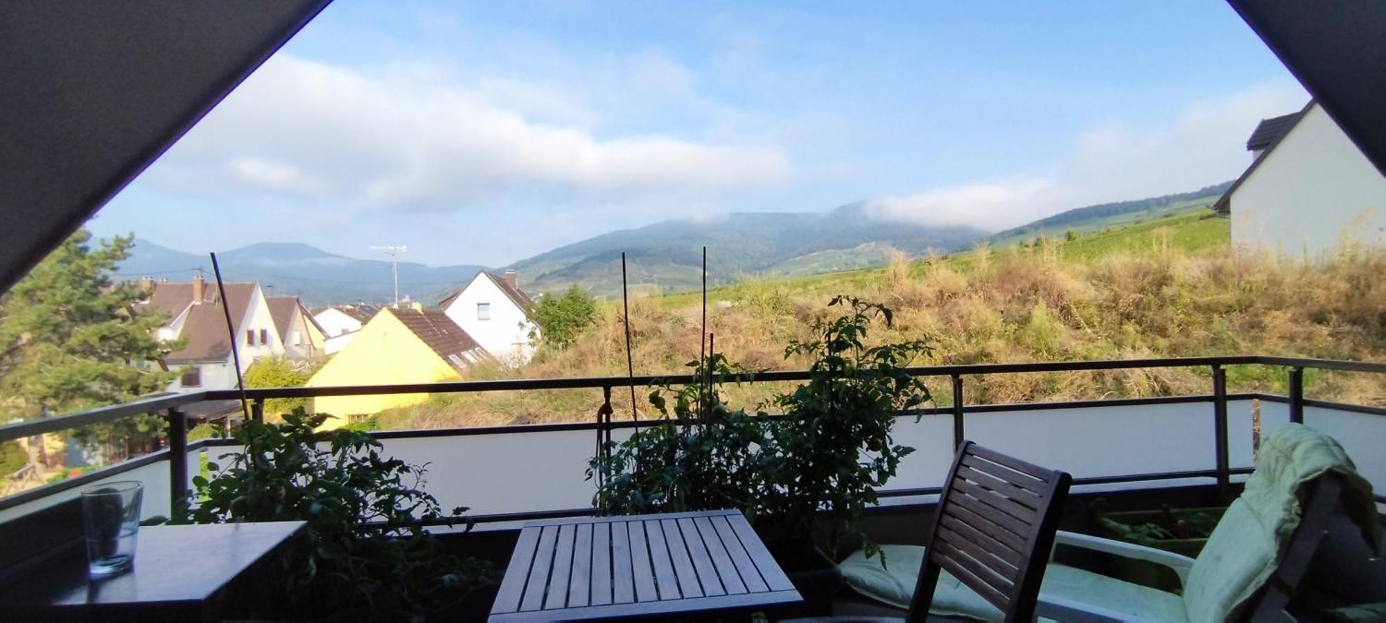 Appartement Au Coeur Du Vignoble à Kaysersberg-Vignoble Extérieur photo